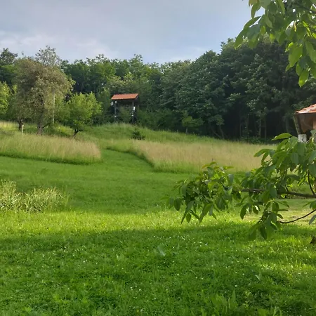 Palanacka Avlija 1 リゾート Ripanj